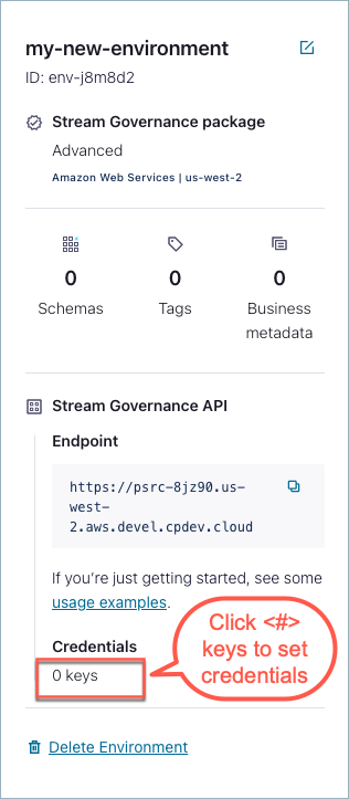 API credentials setup for Schema Registry