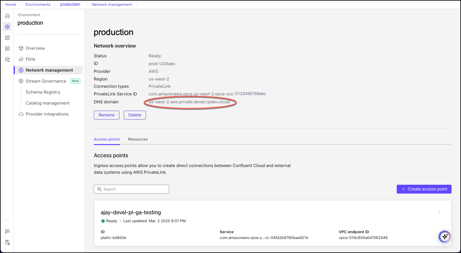 DNS domain on the Network Management for Schema Registry with PrivateLink